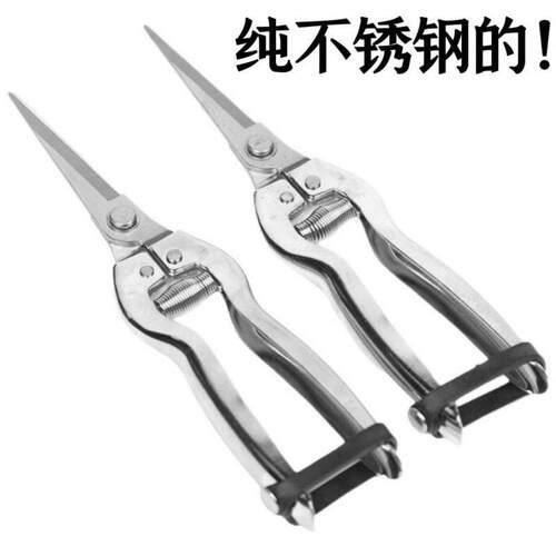 德国工艺花枝剪摘果剪疏果剪采果稀果剪葡萄剪枸杞疏花剪刀修枝剪