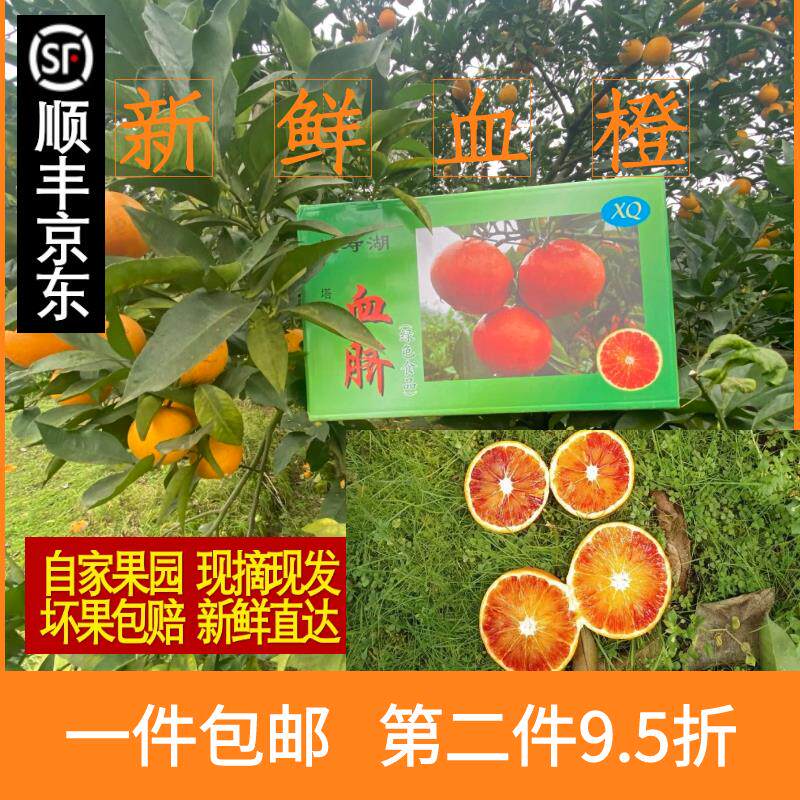 长寿湖血脐橙长寿湖小岛血脐孕妇水果塔罗科血脐红心橙礼盒箱