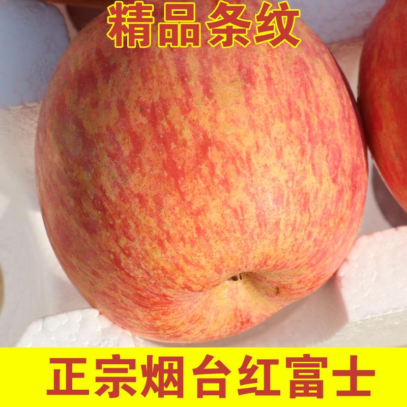 烟台苹果水果新鲜红富士一级当季整箱5斤装带丑应季脆甜栖霞山东