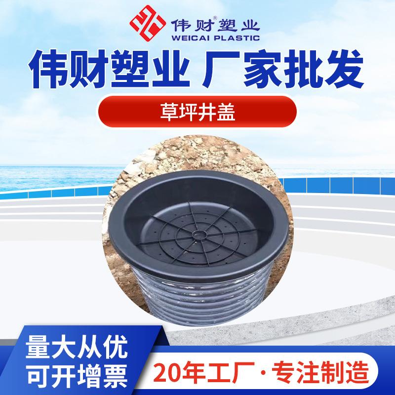 绿化种植PE材质隐形井盖下沉式草坪装饰美化盖现货供应草盆井盖图片