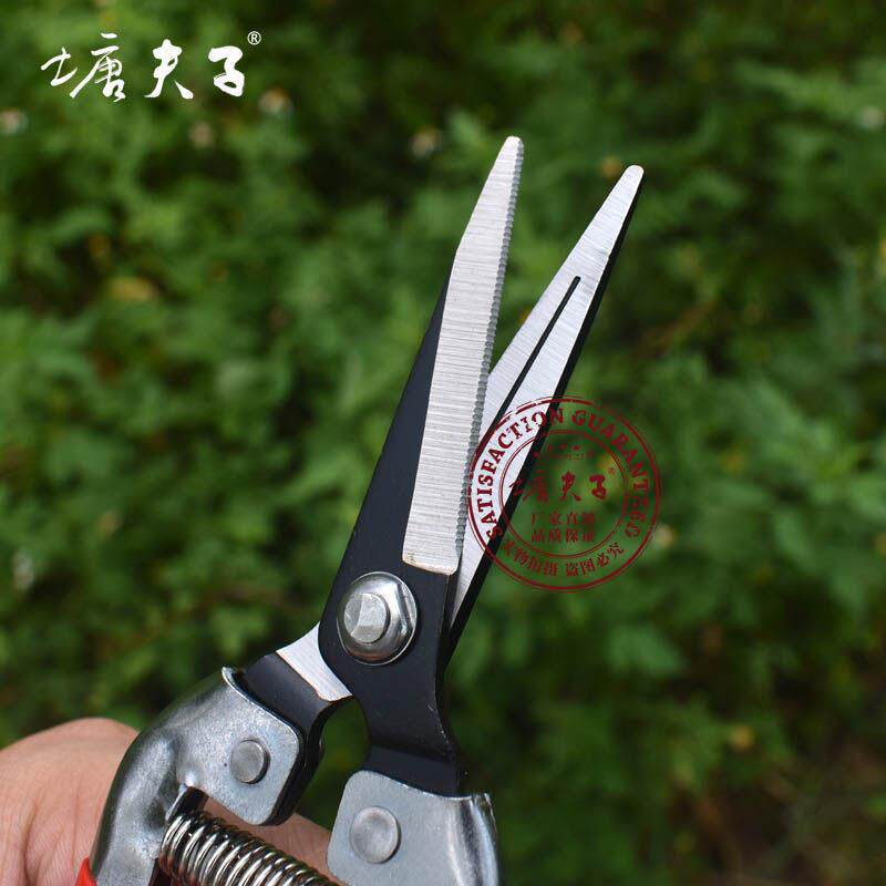 塘夫锰子钢高碳钢修枝用剪刀直头摘果树枝剪花修叶锋利耐可剪铁皮