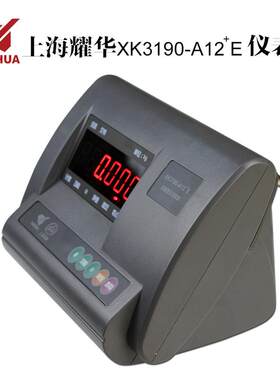 上海耀华XK190-A12+E称重显示控制器A12仪表头叉车称地磅