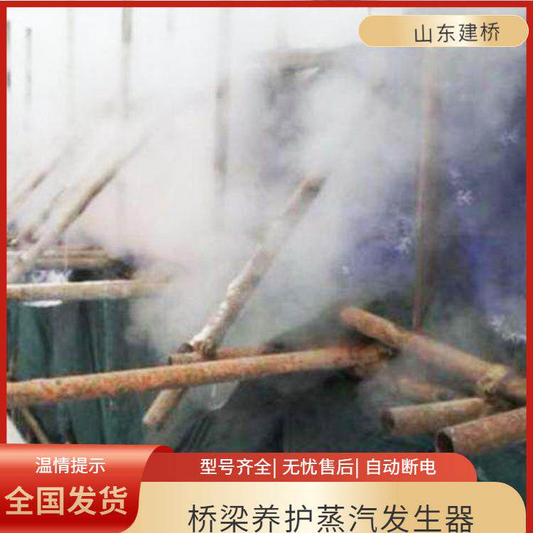 72kw电加热蒸汽发生器 箱梁蒸养养护设备 T梁养生电热蒸汽锅炉