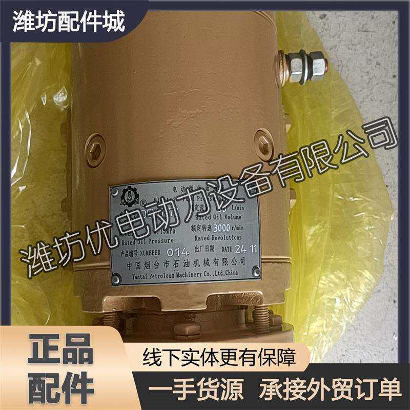潍柴6WH17船舶用柴油发动机1001850178机油电动预供油泵DCYGA70