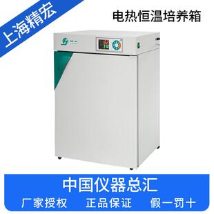电热恒温培养箱 9082 上海精宏 DNP