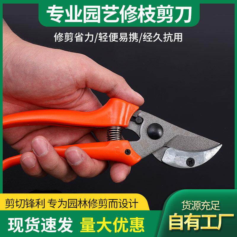 出口园艺修枝剪刀果枝园林修枝剪园艺剪刀果树剪包胶舒适手柄剪刀