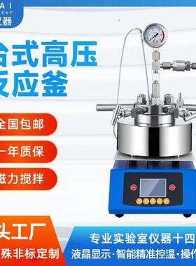 上海高温高压反应釜升降不锈钢反应釜FCF-1L2L高压搅拌罐
