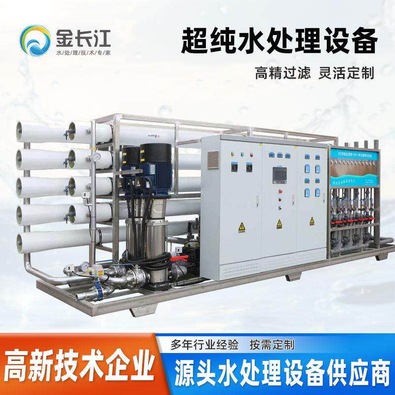 定制20吨双级反渗透设备加EDI超纯水机器加输送系统专业净水