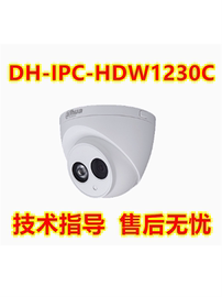 大华dh-ipc-hdw1230c摄像机，poe供电h.264红外，半球网络摄像机