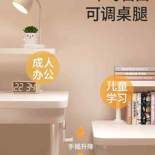 2桌05新款儿童学习桌简小学生2家用书桌升降桌椅套装易写字DPU子