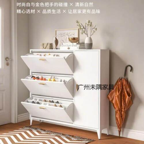 超薄双层鞋柜入户门口家用鞋柜24cm大容量玄关柜钢制一体柜不锈钢