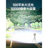 LEM户外露营灯超长续航野营地帐篷天幕氛围家用挂式 led充电照明灯