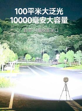 LEM户外露营灯超长续航野营地帐篷天幕氛围家用挂式led充电照明灯