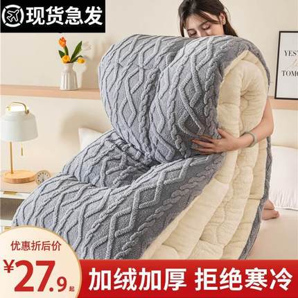 冬天羊羔绒冬被棉被毛毯被子冬季加厚保暖珊瑚绒毛绒加绒毯子秋冬