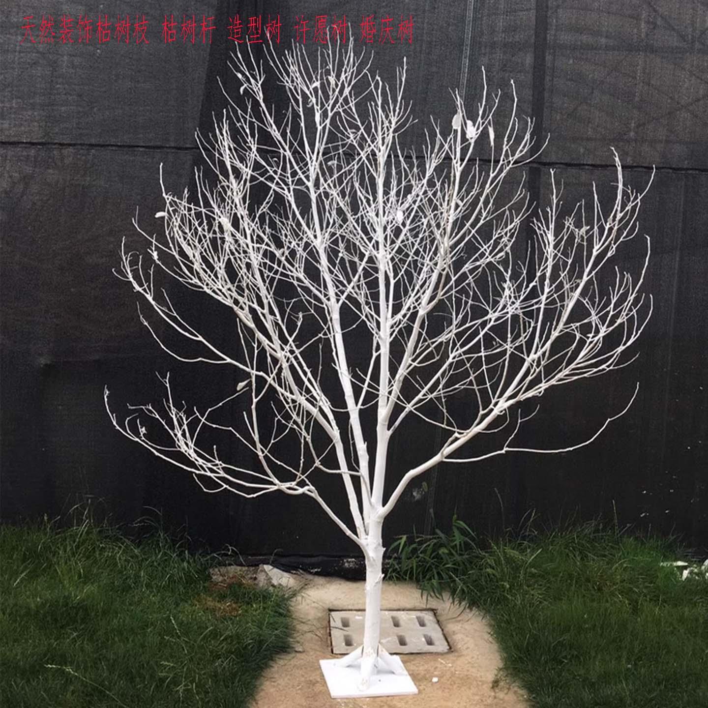 天然干树枝树杆装饰枯树造型树白色许愿树造景婚庆道具落地摆件