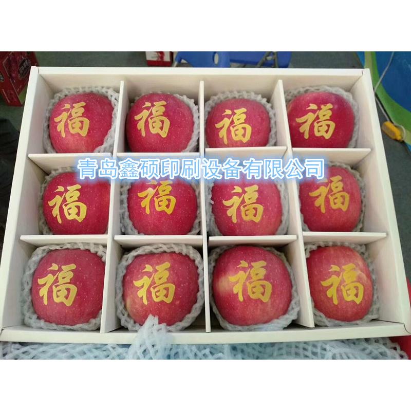 23辽宁苹果印字机/圣诞果印字机/平安果印字机