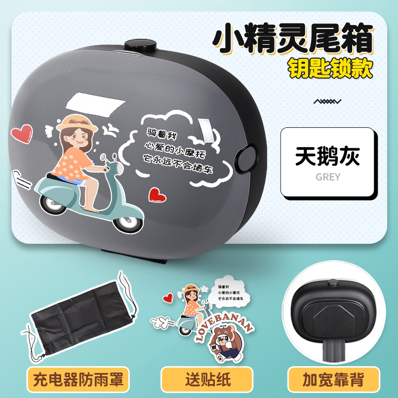 箱尾电瓶车箱小型后后备箱台雅靠背储小牛通用铃电动车物爱玛迪