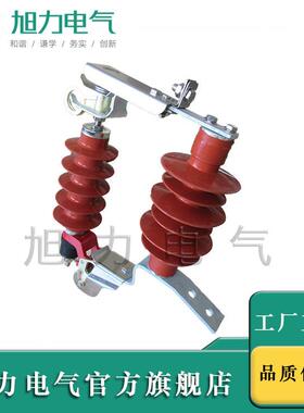 高压避雷器HY5WS-17/50DL-TB高压跌落式避雷器绝缘件