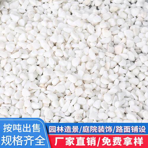 白色石子雪花白砾石水洗石头园林装饰庭院造景铺路透水材料鹅卵石