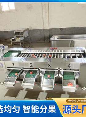滚杠分选机椭圆形瓜果不锈钢分级机大型工业商用苹果梨桃子分选