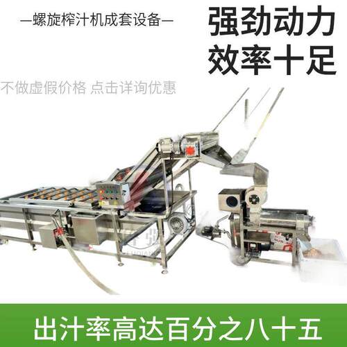 车厘子樱桃清洗虫卵设备冲浪式蔬菜水果鱼头清洗机气泡清洗设备