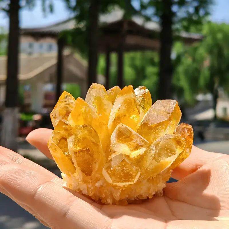 黄水晶簇短晶芽花水晶工艺品室内装饰摆件热销东海水晶