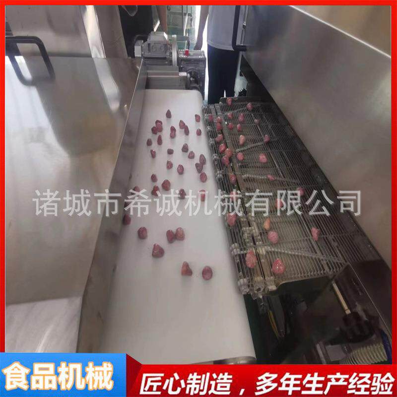 全自动提拉米苏淋糖机低温油炸巧克裹涂设备冻干水果巧克力涂层机