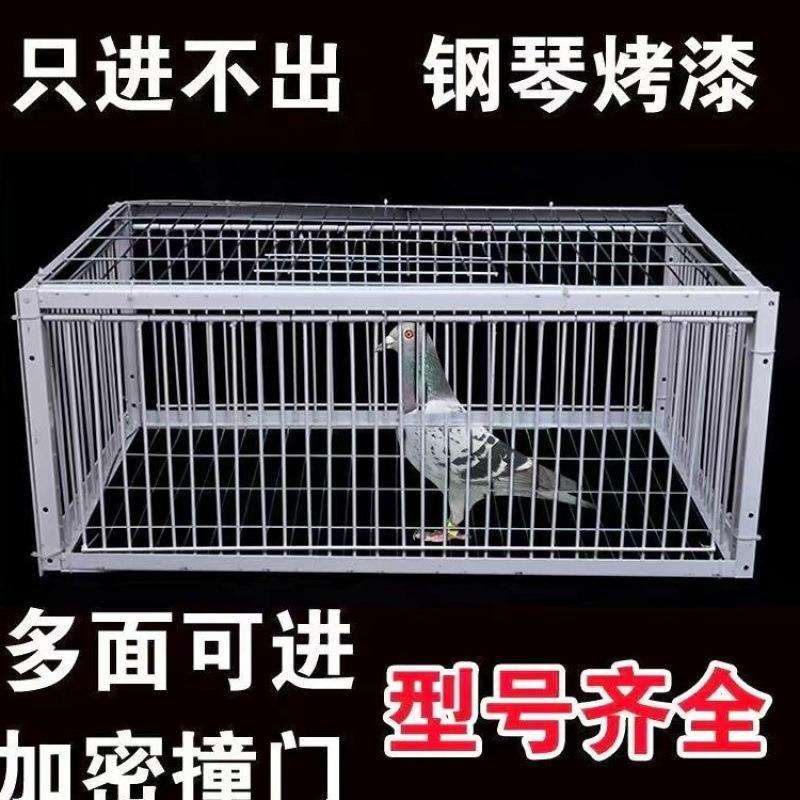 户外捕鸽神器鸽子笼全自动天落笼子自动只进不出撞门四面埋伏收鸽图片