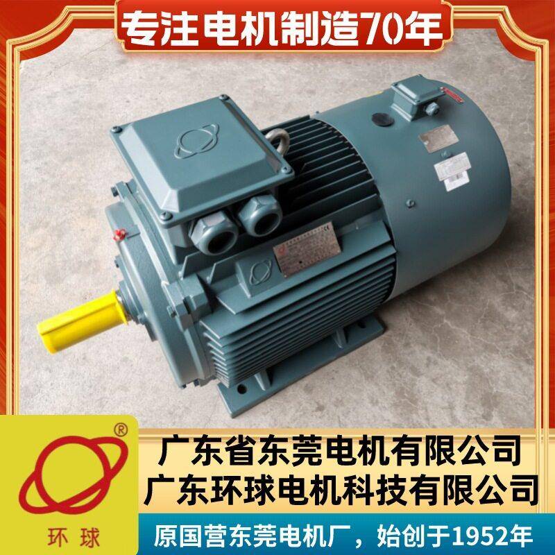 广东东莞环球牌三相电动机Y2VF180L-6-15W立卧式B35变频调速电机
