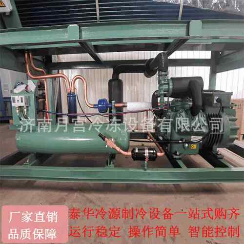 比泽尔V型制冷机组 风冷冷凝机组 冷藏冷冻冷库压缩机组