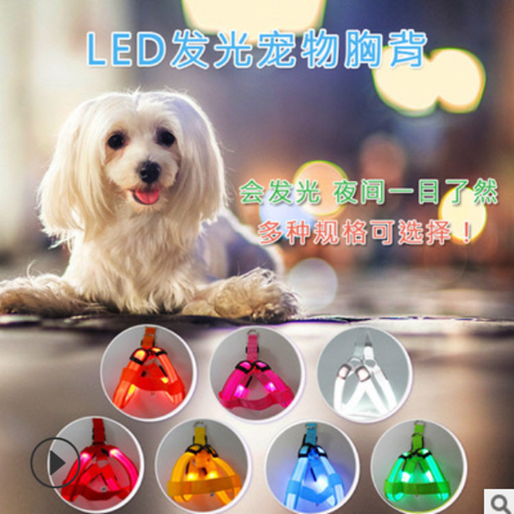 LEDUSB发光狗狗胸背胸背狗牵引绳