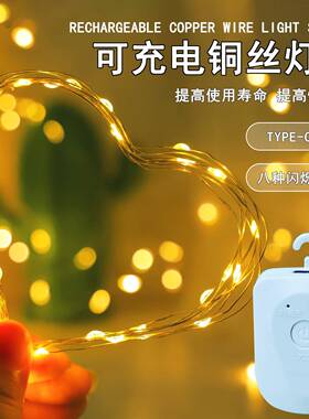 新品GDP纽扣可充电铜线灯串鲜花款礼饰灯装led铜丝物氛围灯圣诞装