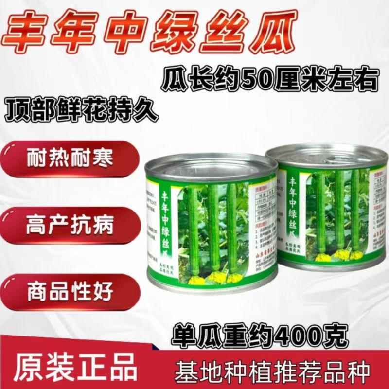 丰年中绿丝瓜杂交种子早