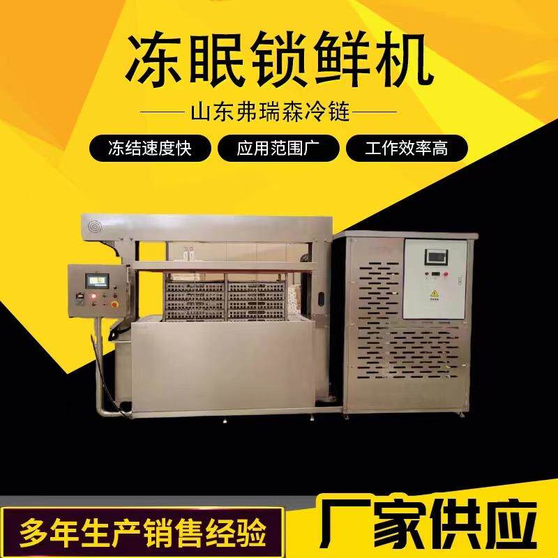 海鲜螃蟹海参冷冻设备黄桃果蔬速冻机牛羊肉液体速冻机
