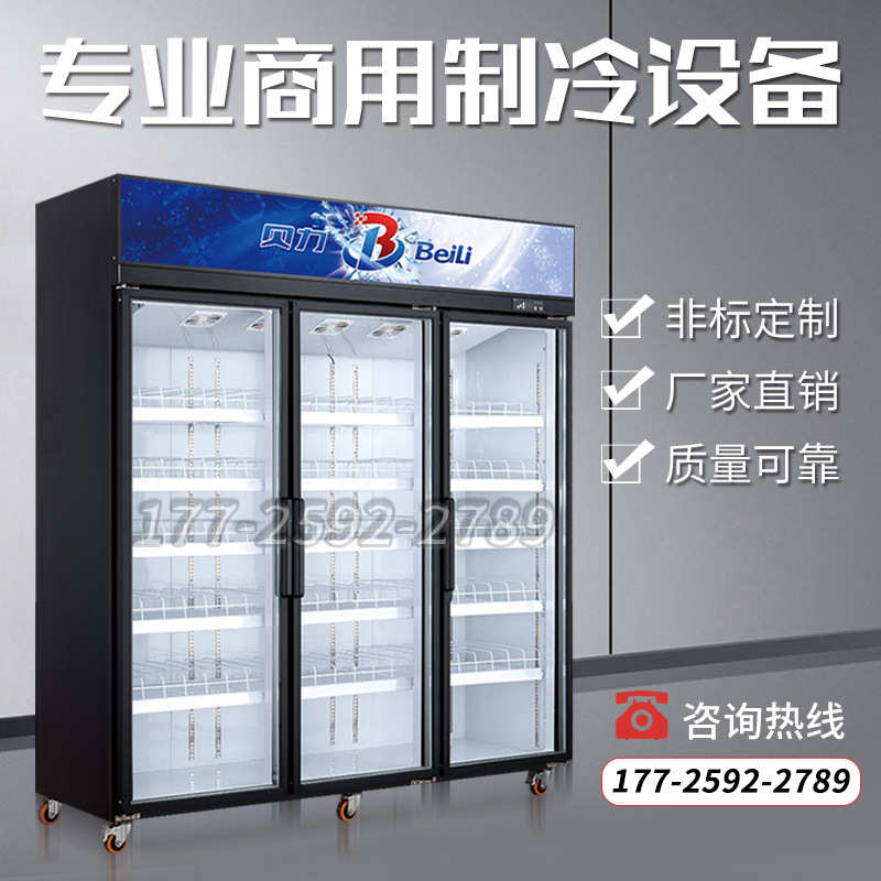 饮料柜商用冰柜冷藏展示柜大容量保鲜柜立式超市冰箱源头厂家冷柜