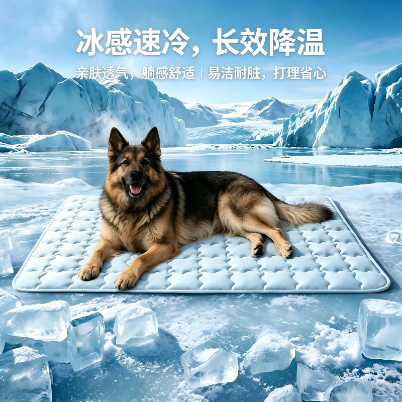 宠物狗狗狗狗猫咪猫咪猫狗垫子