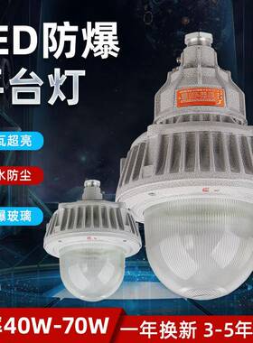 40W50W60W70W LED防爆工厂灯LED防爆护栏灯法兰灯 防爆平台灯