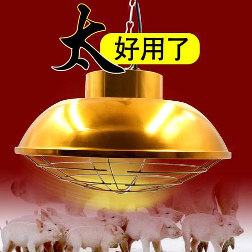 养殖保温卤素灯罩可调温度保温灯育雏仔猪宠物取暖灯加热猪用灯罩