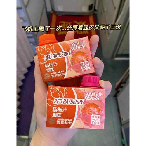 碧林杨梅汁碧林果汁吉祥航空同款杨梅汁24瓶迷你装石榴汁蓝莓汁饮