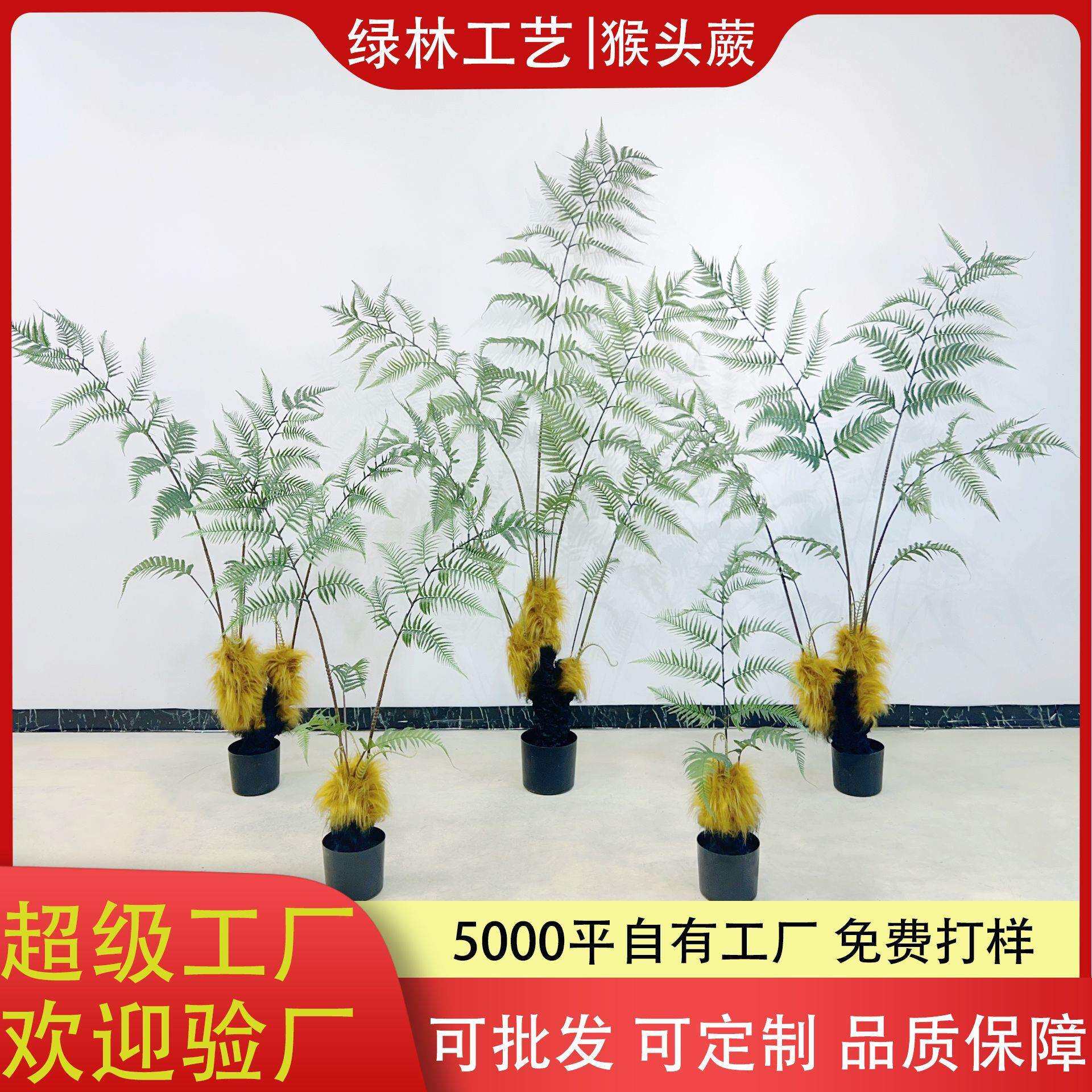 仿真经典猴头蕨树盆景中式简约风格蕨草猴头蕨树苔藓景观搭配仿绿