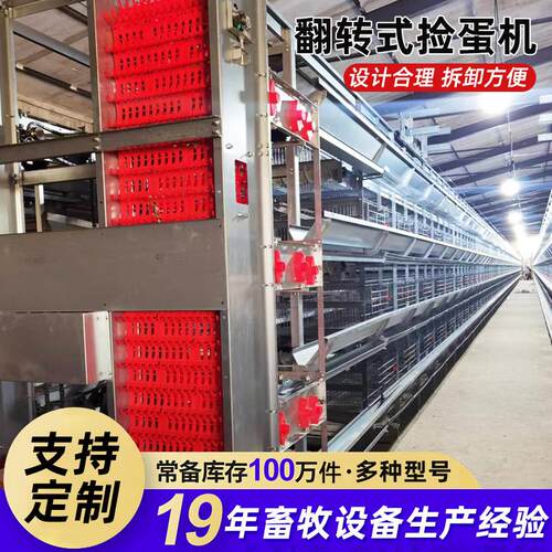 翻转式捡蛋鸡厂家生产大小层叠阶梯捡蛋机固定式升降全自动捡蛋机
