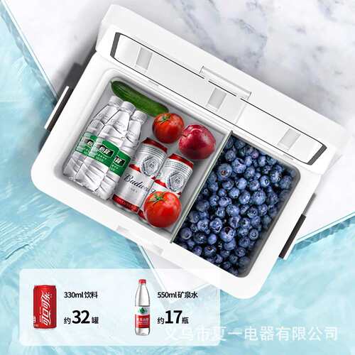 Amoi夏新车载冰箱迷你小冰箱宿舍家用小型冷藏箱户外便携保温冰箱