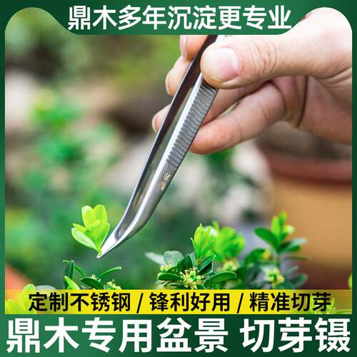 切芽镊芽剪摘芽盆景修剪造型专用工具叶芽剪不锈钢剪刀修芽剪芽切