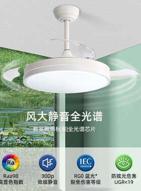 全光谱护眼级RA98智能家居隐形风扇灯客厅餐厅静音吊扇灯