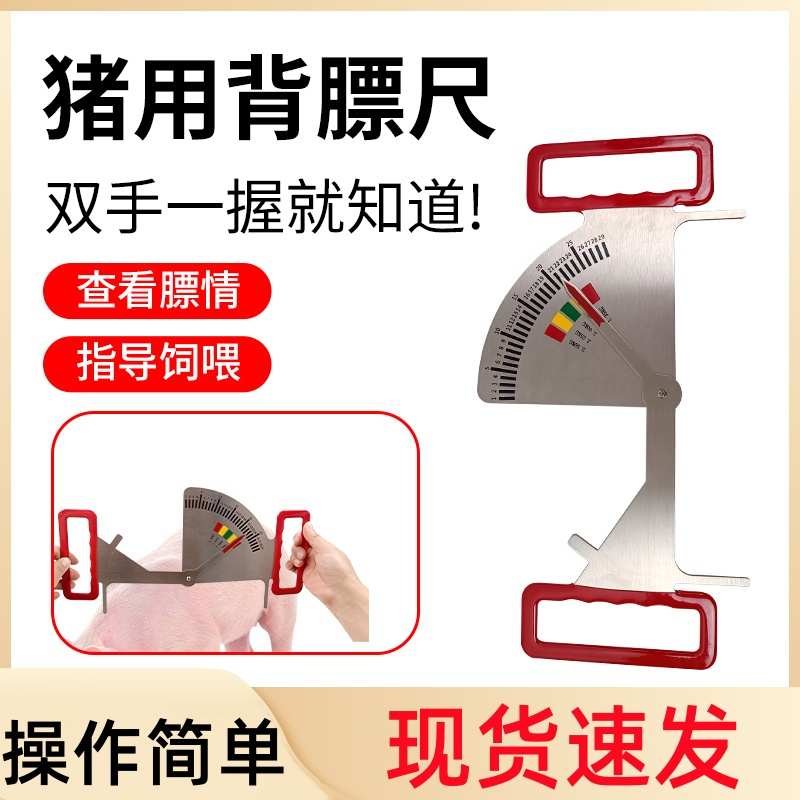 猪用背膘卡尺母猪膘情测定指导器兽用不锈钢体况管理尺饲喂背膘尺