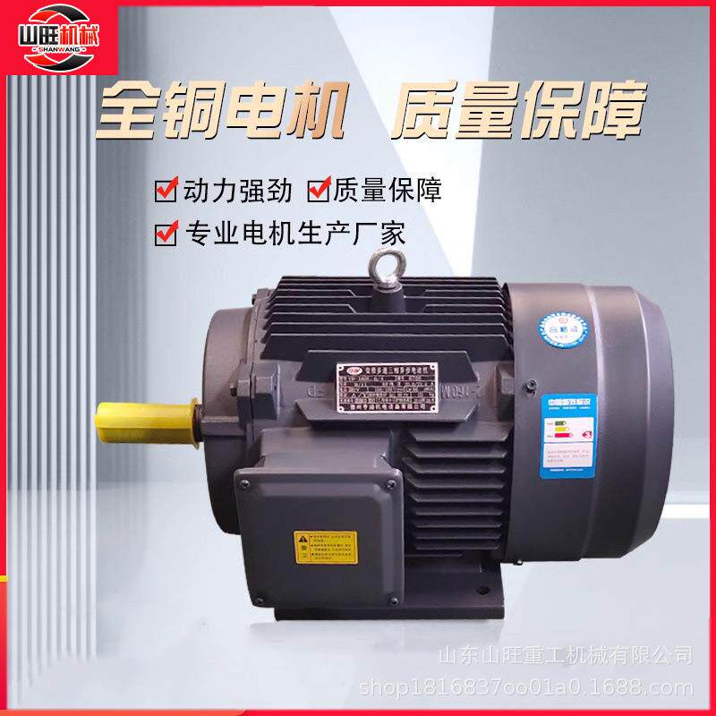 三相异步YE3电动机37*45*55*75KW2*4级纯铜380V国标高速水泵配套
