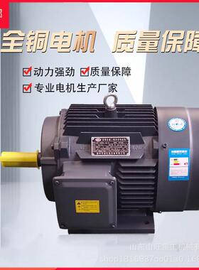 三相异步YE3电动机37*45*55*75KW2*4级纯铜380V国标高速水泵配套