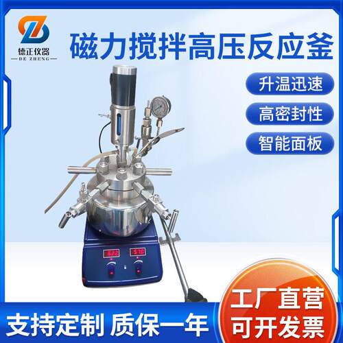 德正仪器0.5L小型实验压反应釜TGFY-C-0.5不锈钢反应釜磁力搅
