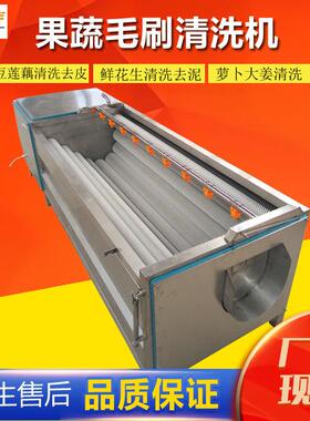 厂家现货莲藕毛刷清洗去皮机果蔬大姜清洗机土豆去皮水果自动清洗