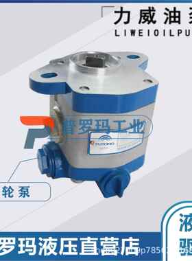 合肥力威液压泵浦沅吊车油泵潍柴 杭发WD615天力转向泵QC32/13-ST